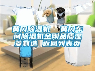 企業新聞黃岡除濕機  黃岡車間除濕機金剛品質濕菱制造 返回列表頁