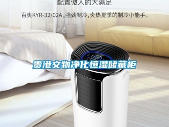 知識百科貴港文物凈化恒濕儲藏柜