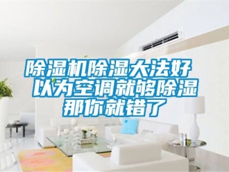 企業新聞除濕機除濕大法好 以為空調就夠除濕那你就錯了