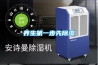 養生第一步先除濕