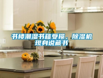 知識百科書樓潮濕書籍受損，除濕機現身說藏書
