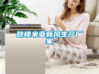 企業新聞鼓樓米亞新風生產廠家