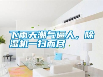 知識(shí)百科下雨天潮氣逼人，除濕機(jī)一掃而盡