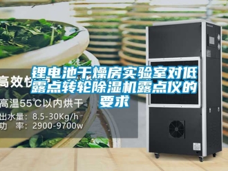 常見問題鋰電池干燥房實驗室對低露點轉輪除濕機露點儀的要求