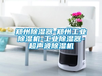 常見問題鄭州除濕器-鄭州工業除濕機-工業除濕器-超聲波除濕機