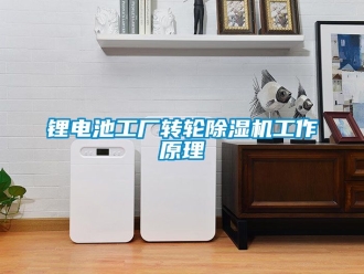 常見問題鋰電池工廠轉輪除濕機工作原理