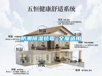 常見問題防潮除濕抗霉 全屋適用