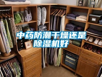 知識百科中藥防潮干燥還是除濕機好