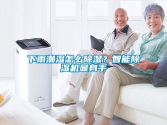 常見問題下雨潮濕怎么除濕？智能除濕機顯身手