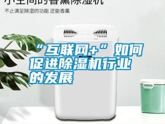 常見問題“互聯網+”如何促進除濕機行業的發展