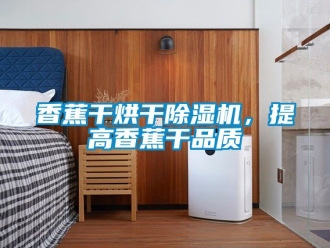 行業新聞香蕉干烘干除濕機，提高香蕉干品質