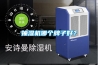抽濕機哪個牌子好？