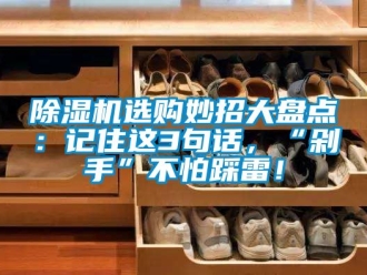 行業新聞除濕機選購妙招大盤點：記住這3句話，“剁手”不怕踩雷！