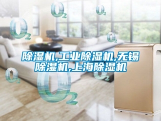 常見問題除濕機,工業除濕機,無錫除濕機,上海除濕機