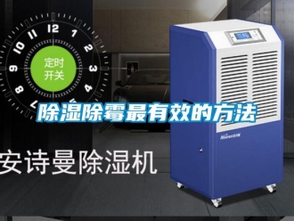 企業新聞除濕除霉最有效的方法