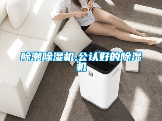 企業新聞除潮除濕機,公認好的除濕機