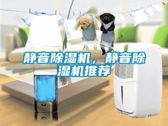 行業(yè)新聞靜音除濕機(jī)，靜音除濕機(jī)推薦