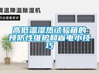 常見問題高低溫濕熱試驗箱的預(yù)防性維護(hù)和省電小技巧