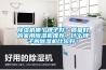 除濕機哪個牌子好？質量好的家用除濕機推薦，什么牌子的除濕機比較好？