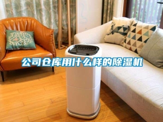 企業新聞公司倉庫用什么樣的除濕機