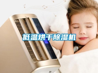 企業新聞低溫烘干除濕機