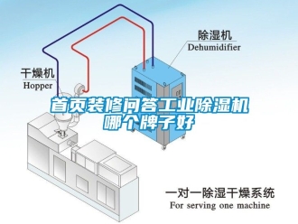 常見問題首頁裝修問答工業(yè)除濕機哪個牌子好