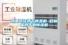 雞蛋紙托烘干除濕機 紙制品烘干房除濕機
