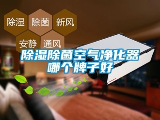 企業新聞除濕除菌空氣凈化器哪個牌子好