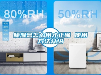 企業新聞除濕盒怎么用才正確 使用方法介紹