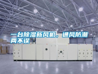 知識百科一臺除濕新風機，通風防潮兩不誤