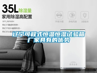 知識(shí)百科遼寧可程式恒溫恒濕試驗(yàn)箱廠家具有的優(yōu)勢(shì)