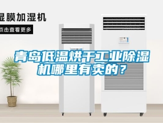 常見問題青島低溫烘干工業除濕機哪里有賣的？