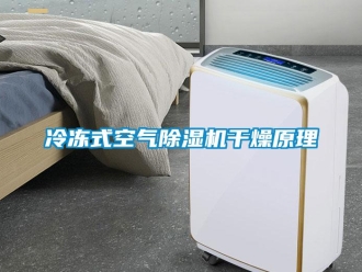 行業新聞冷凍式空氣除濕機干燥原理