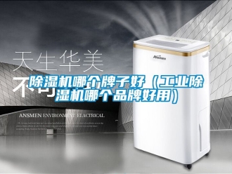 常見問題除濕機哪個牌子好（工業除濕機哪個品牌好用）