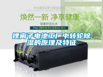 常見問題鋰離子電池工廠中轉輪除濕的原理及特征