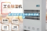 低溫和低濕型恒溫恒濕機組