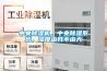 中央除濕機，中央除濕系統，濕度由我不由天