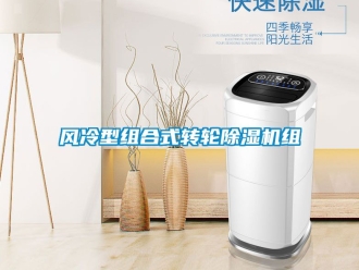 常見問題風冷型組合式轉輪除濕機組