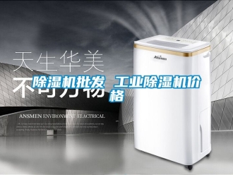 常見問題除濕機批發(fā) 工業(yè)除濕機價格