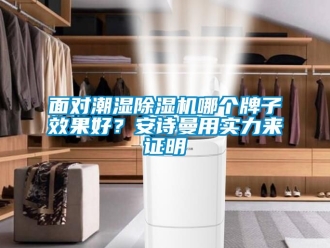行業(yè)新聞面對潮濕除濕機(jī)哪個(gè)牌子效果好？安詩曼用實(shí)力來證明