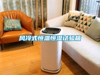 知識百科風冷式恒溫恒濕試驗箱