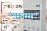 砼水泥標準恒溫恒濕養護箱生產廠家質優