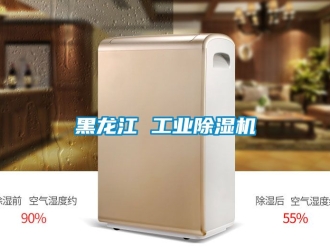 常見問題黑龍江 工業除濕機