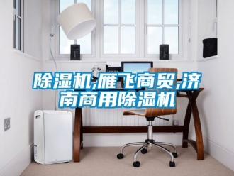 常見問題除濕機,雁飛商貿,濟南商用除濕機