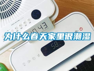 知識(shí)百科為什么春天家里很潮濕