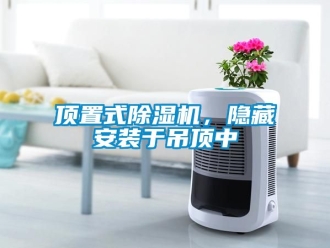 行業(yè)新聞頂置式除濕機，隱藏安裝于吊頂中