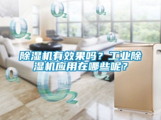 常見問題除濕機有效果嗎？工業除濕機應用在哪些呢？