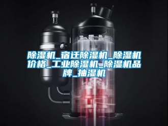 常見問題除濕機_宿遷除濕機_除濕機價格_工業除濕機_除濕機品牌_抽濕機