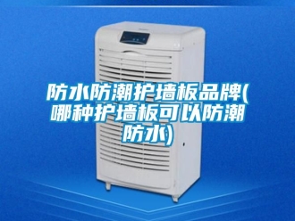 常見問題防水防潮護墻板品牌(哪種護墻板可以防潮防水)