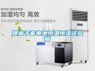 知識(shí)百科鋰離子蓄電池恒溫恒濕試驗(yàn)箱